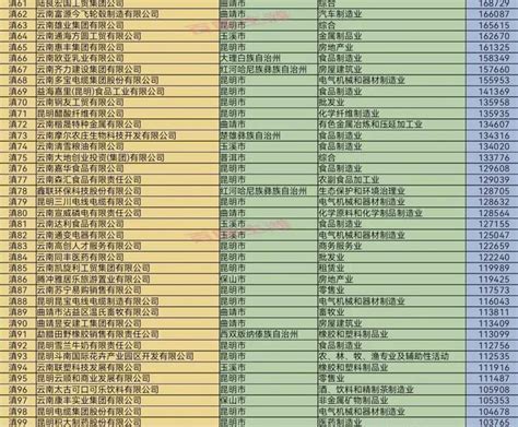 2024年云南企业排名100强,云南前100强企业有哪些