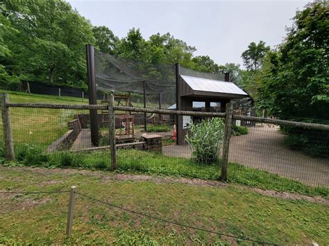Oglebay Good Zoo - Ruffed lemurs from walkabout - ZooChat