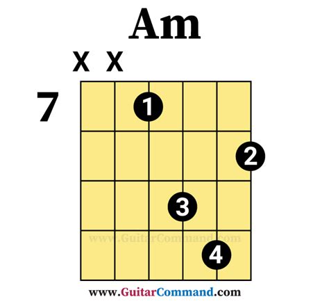 Image result for AM Tutorials for Beginners