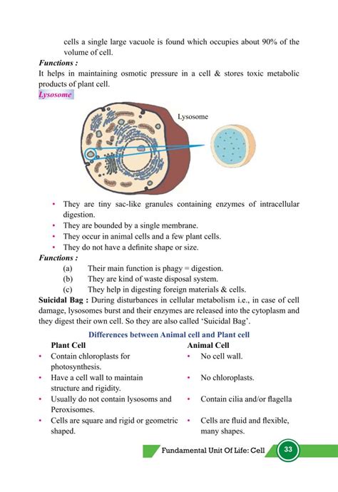 Image result for Class 9th Science Chapter 5 Cell Explanation