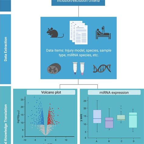 Image result for Meta-Analysis Overview