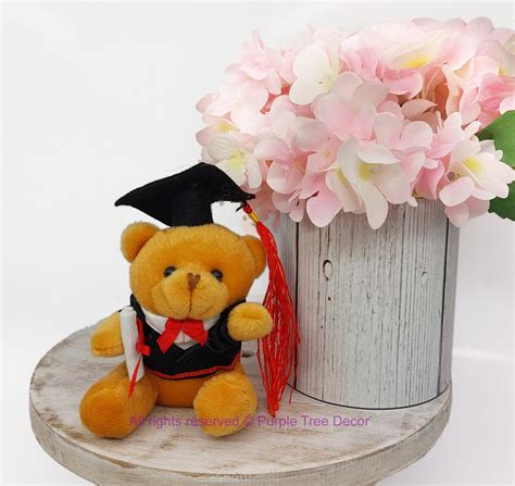 Buy Graduation Teddy Bear, Graduation Bear Class of 2022 Graduation ...