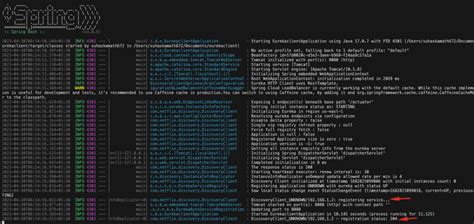 Image result for Eureka Spring Boot