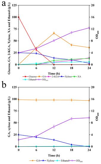 Sequential Bioprocess with Gluconobacter oxydans and Candida tropicalis ...