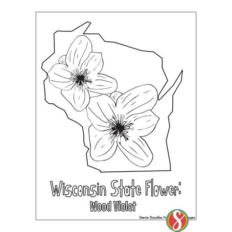 Wisconsin State Flower Coloring Page Wood Violet Usa