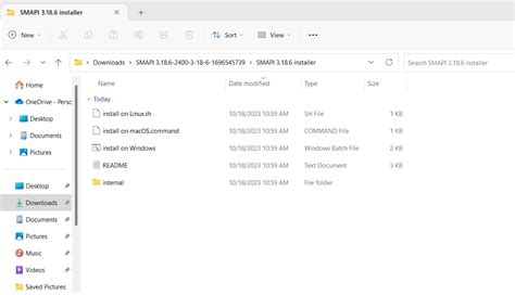 Image result for Smapi Install Guide