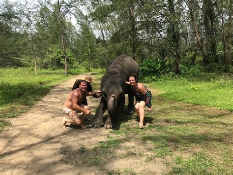 ELEPHANT RETIREMENT PARK PHANG NGA - All You Need to Know BEFORE You Go ...