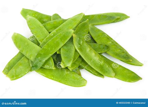 Fresh Flat Green Beans stock photo. Image of eating, macro - 40332348