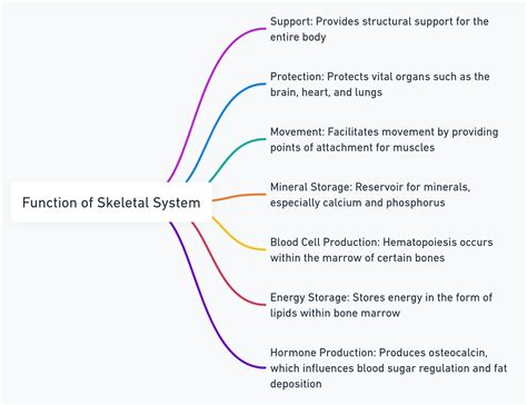 Function of skeletal system