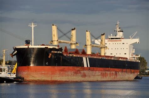 OCEAN ROYAL, Bulk Carrier - Details and current position - IMO 9465150 ...