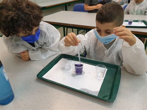 Red Cabbage Indicator 的图像结果