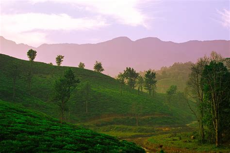 Kolukumallai Sunrise Trek, Book now at INR 5000