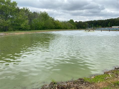 Pond Management - Tennessee Aquatic Weed Removal