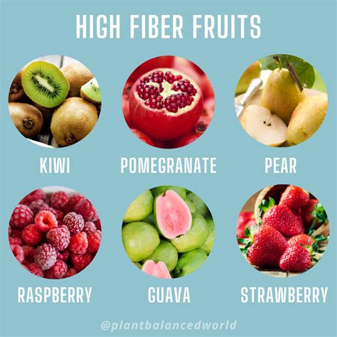 Fruit Fiber Description at Spencer Neighbour blog