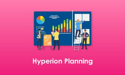 Image result for Hyperion Planning Tutorial