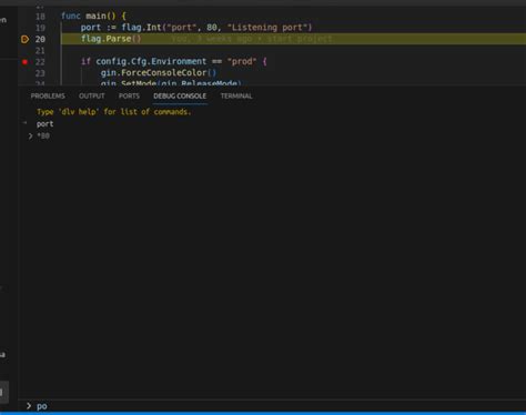 Image result for Debugging Variables Code
