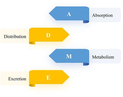 Animal Medicine 的图像结果