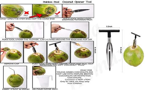 Buy Homaxa Coconut Opener Stainless Steel Drill Cutter Coconut Tool ...