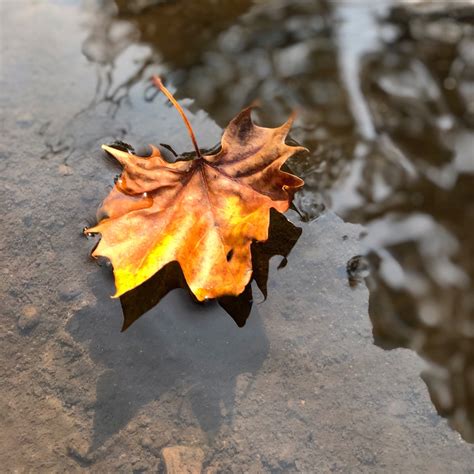 Ozark Highlands Trail Association