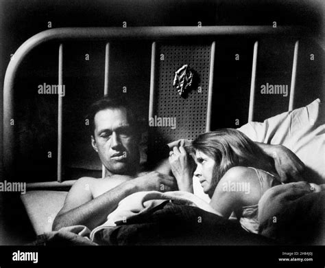 Melinda dillon hi-res stock photography and images - Alamy