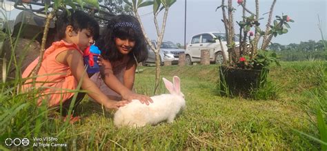 the woods Sports & Cultural Club - The Woods Sakaleshpura -Karnataka