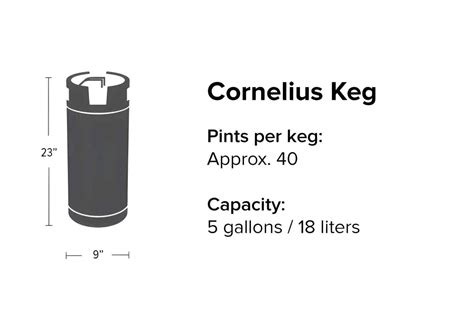 How Many Beers In A Keg? (With Basic Computation)