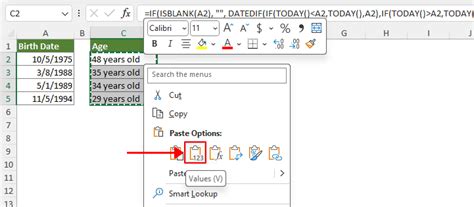 Convert Formula to Value Excel 的图像结果