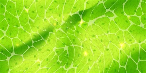 Biology Background Free Images - Free Download on Freepik