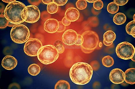 生物学 的图像结果