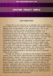 Image result for Capstone Examples