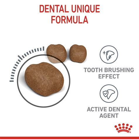 Dental Care Dry Cat Food | Royal Canin US