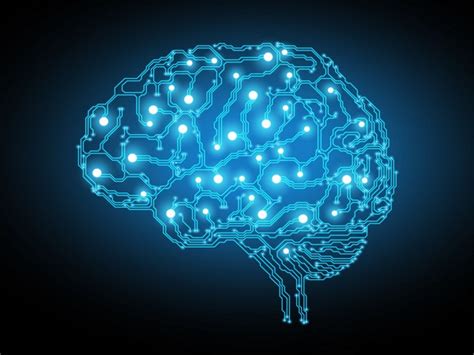 Research suggests that brain circuit in thalamus helps to hold ...