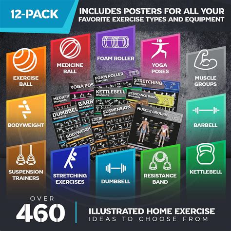 Buy 12-PACK] Laminated Large Workout Poster Set - Perfect Workout ...