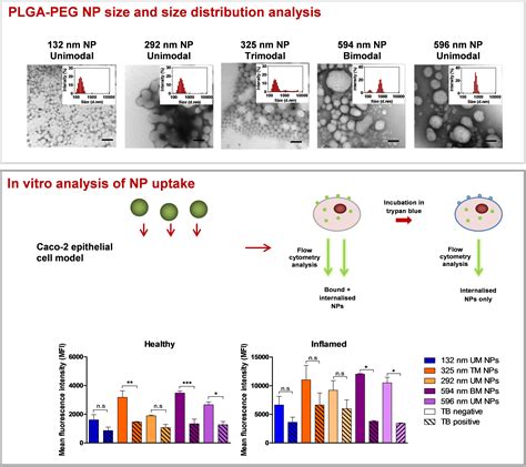 Optimising PLGA-PEG Nanoparticle Size and Distribution for Enhanced ...