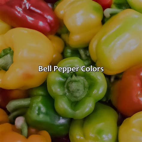Bell Pepper Color Use at Zara Morrill blog