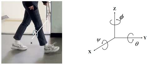 Gait Pattern Identification Using Gait Features