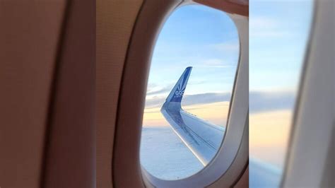 Go First crisis LIVE updates: Airline seeks intervention from NCLT to ...