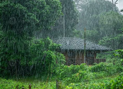 When Is Rainy Season