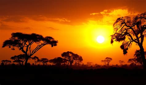 THE 30 BEST Places to Visit in Kenya (UPDATED 2025) - Tripadvisor