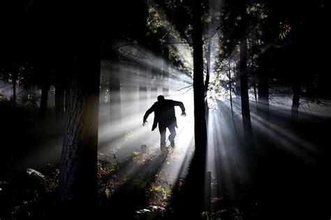 The evolving aesthetic of vampires in film: From gothic elegance to ...