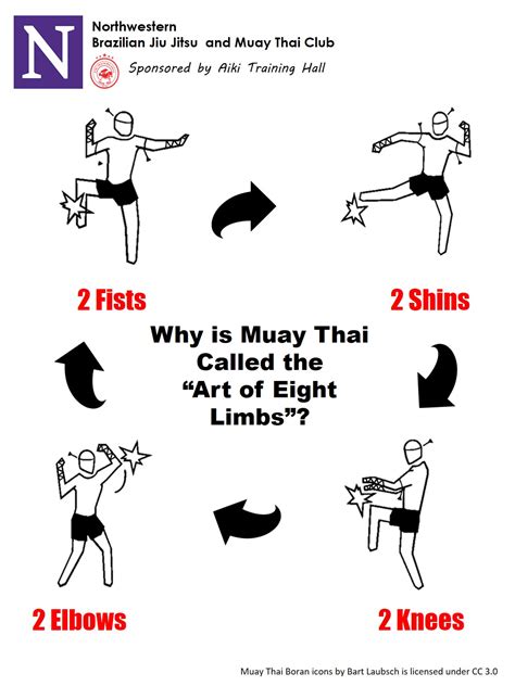 Muay Thai 的图像结果