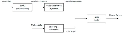 A Pilot Study of Individual Muscle Force Prediction during Elbow ...