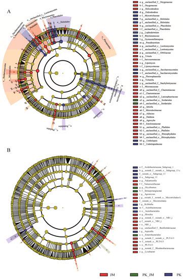 The Effects of Korean Pine and Manchurian Walnut Monocultures and Mixed ...