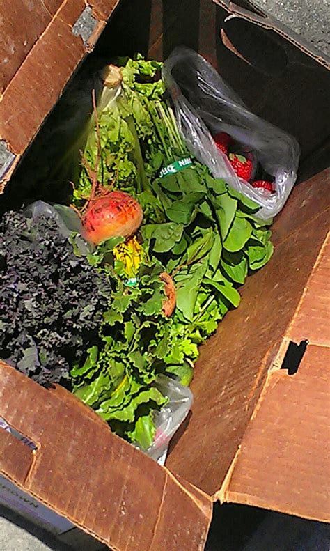 CSA Community Supported Agriculture 的图像结果