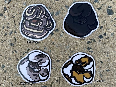 Image result for Pied Ball Python Sticker