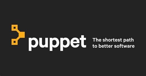 Image result for Puppet Software