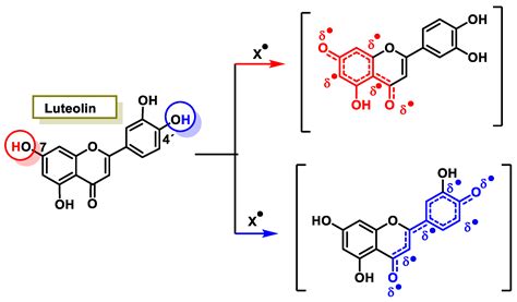 Polyphenols as Antioxidant/Pro-Oxidant Compounds and Donors of Reducing ...
