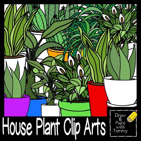 House plants clip arts | Made By Teachers