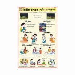 Human Diseases Charts - Deficiency Diseases Charts Exporter from Pune